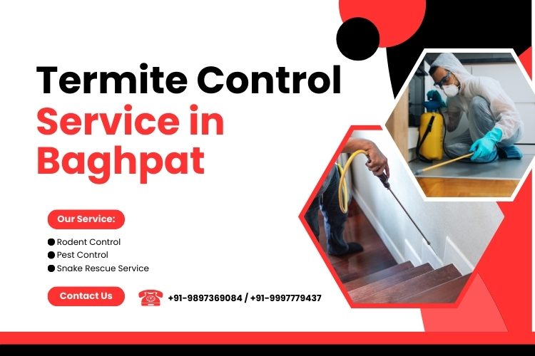 Termite Control Service in Baghpat